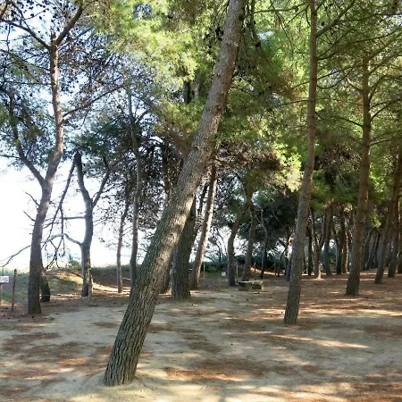 Locazione Turistica D'annunzio